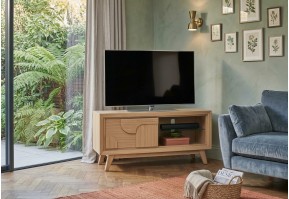 Meuble TV-Hifi 1 Porte Rivage en Chêne | 120 cm